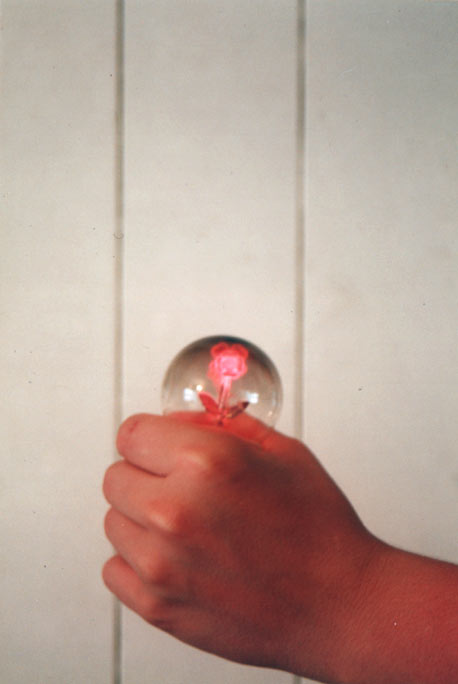 flor.jpg