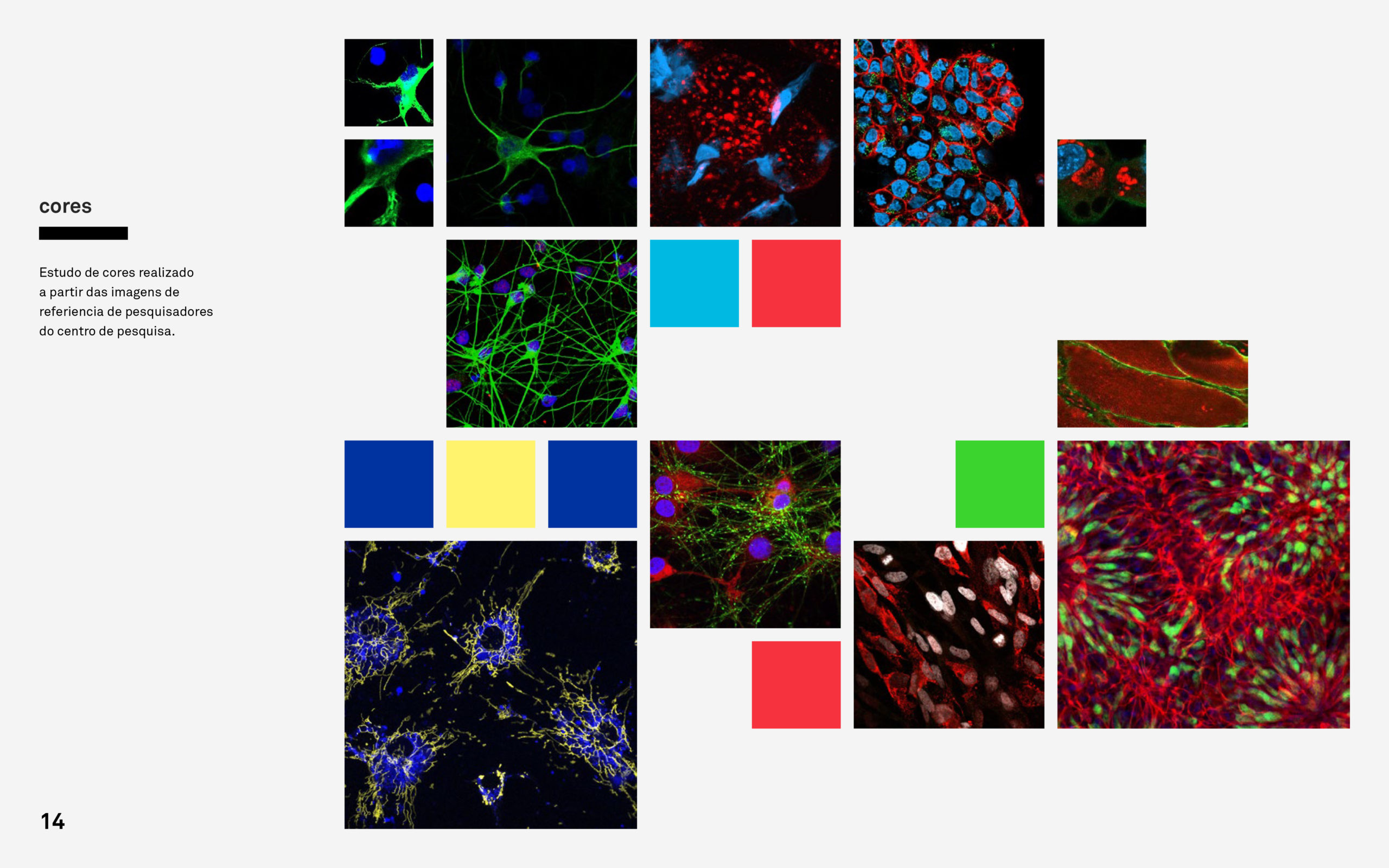 GenomaUSP_IdentidadeVisual_final-14
