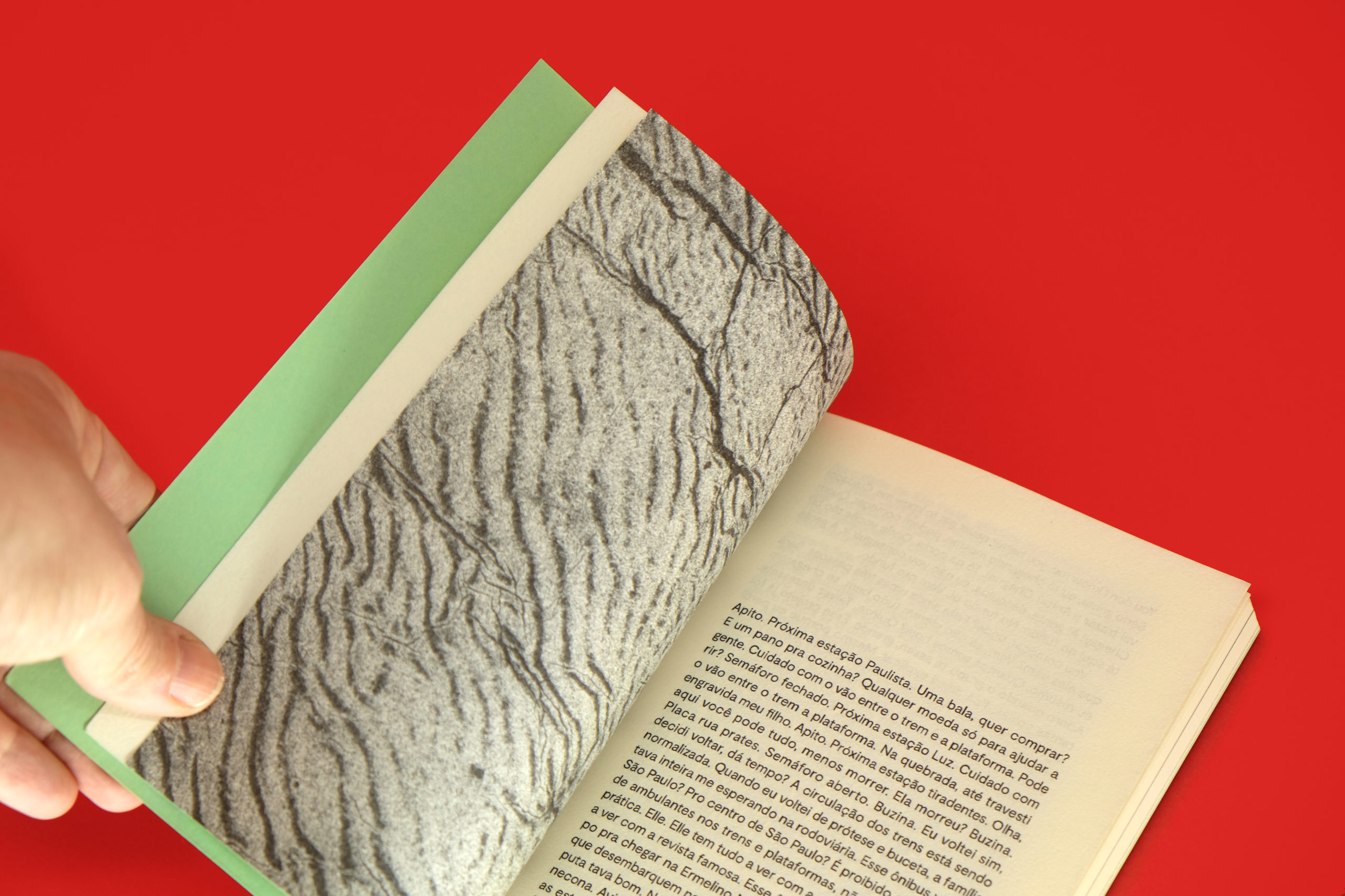 Terminal_livro_aberto
