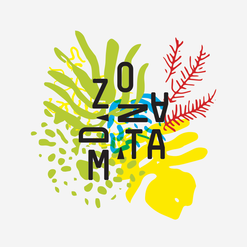 zdm_logo_f4